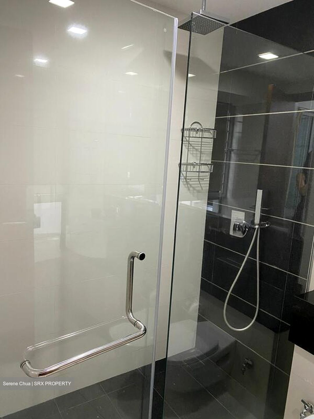 Alexis (D3), Apartment #517135001